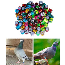 100 Stück 2026 Taubenring