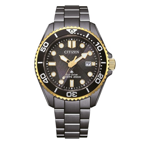 Citizen promaster bn0264 53e - promaster, bn0264-53e