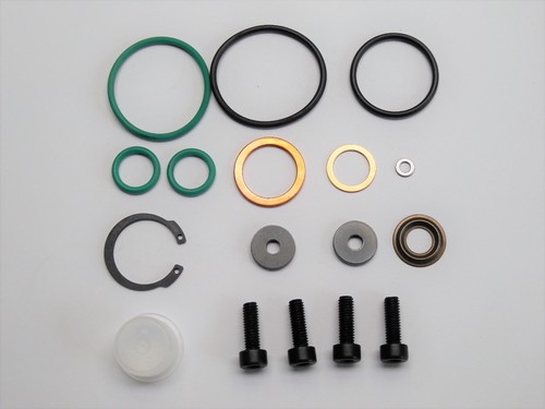 Reparatur satz für lombardini - reparatur-satz,