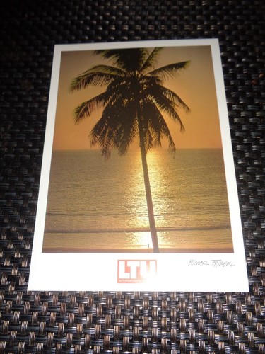 Ltu postkarte mit - postkarte, palme