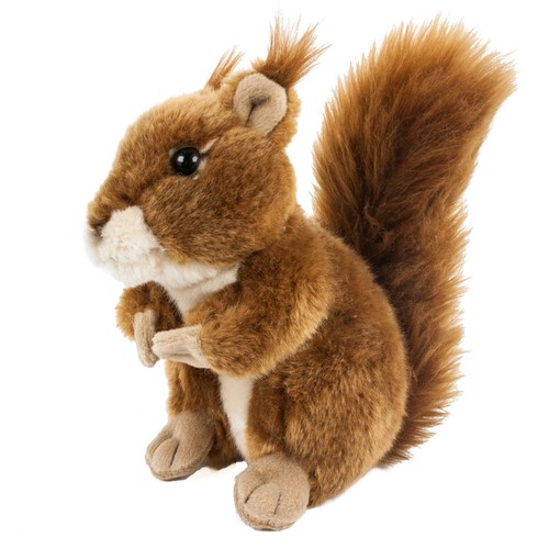 Kuscheltier eichhörnchen - eichhörnchen, 16