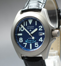 Near Mint Citizen Promaster