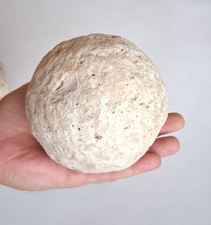 Seltene historische Kanonenkugel aus Stein Belagerung von Ulm 1552, 115 mm 1,7kg