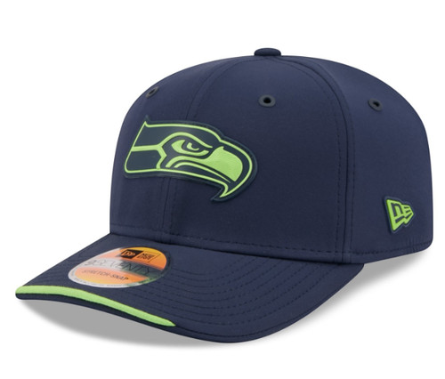 Seattle seahawks nfl - seattle, sideline