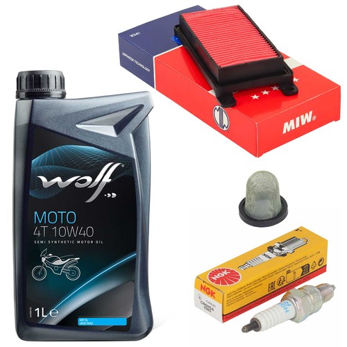 Set wartung öl ölsieb - set, 1l