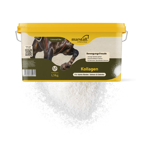 Kollagen