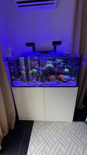 Meerwasseraquarium red sea - red,