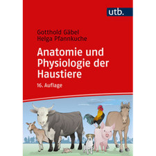 Anatomie und Physiologie der