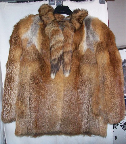 Damen pelzjacke colektion - pelzjacke,colektion, cc