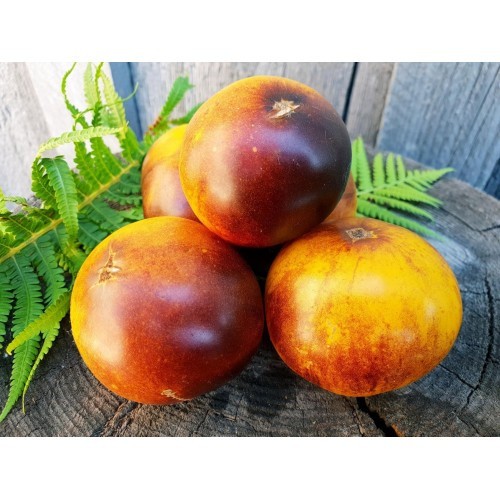 Tomate chocolate marmelade - tomate,