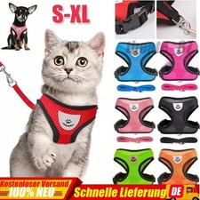 Katzengeschirr mit Leine