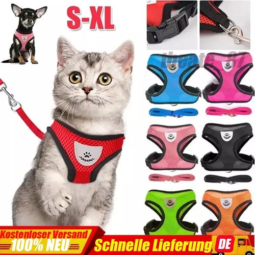 Katzengeschirr mit leine - katzengeschirr,