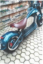 E Shopper Mangosteen Puma XT E Shopper erst 60 Km gefahren fast Neu