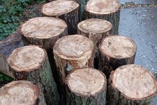 Hackklotz Eiche 75 x 35 cm