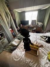 Pelham Puppe Original 60er