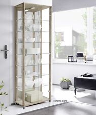 Sammlervitrine Glasvitrine  Vitrine Glas Ausstellungsvitrine Beleuchtung Spiegel