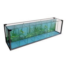 FT81 Zucht-Aquarium