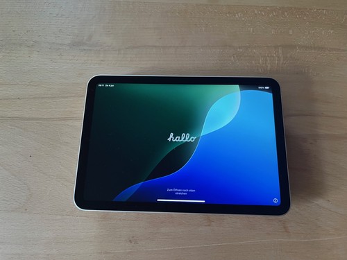 Ipad mini 256 gb - 256,