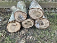 Drechselholz Baumscheiben