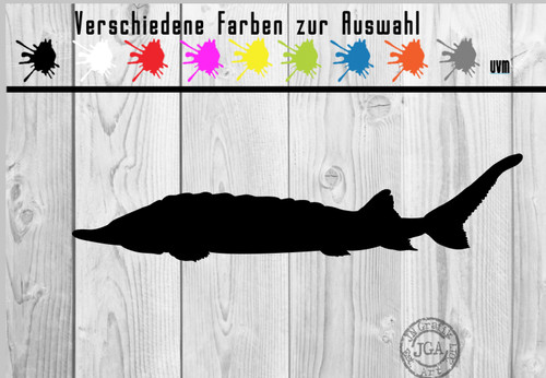 Aufkleber stör fisch fish - stör,