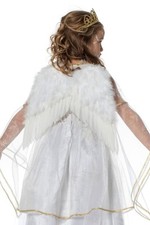 Engel Engelsflügel aus echten Federn Christkind Flügel weiss