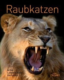 Raubkatzen von hans dr - von, w.