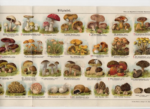 Prospekt pilz merkblatt - pilz,