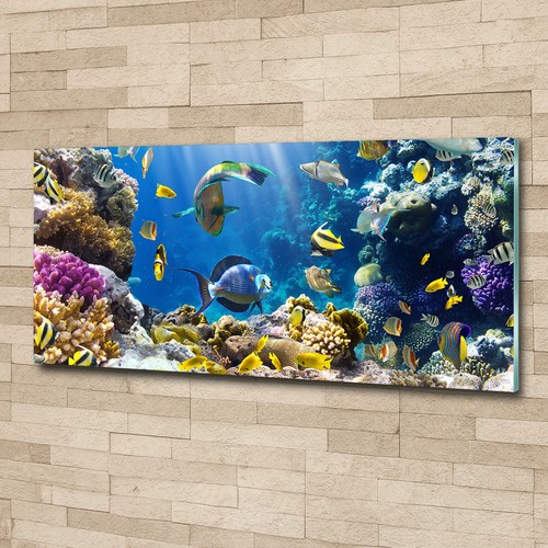 Glas bild wandbilder druck auf - glas-bild,