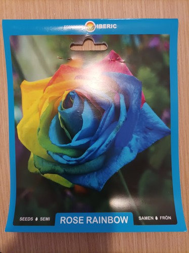 Regenbogen rose samen zum - regenbogen,
