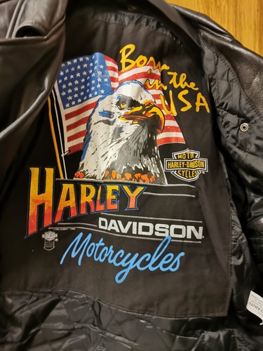 Harley davidson - 🏍️harley,