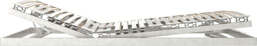 Schlaraffia platin plus - 2,