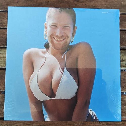 Aphex twin windowlicker - twin,