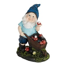 Gartenzwerg pilze zwerg - x,