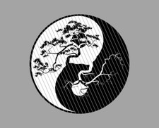 Yin Yang Aufkleber Bonsai Harmonie TaiChi Buddhismus Kräfte JDM
