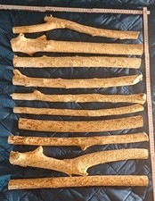 10x Treibholz Schwemmholz