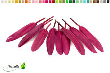 Indianerfedern 10cm 15cm