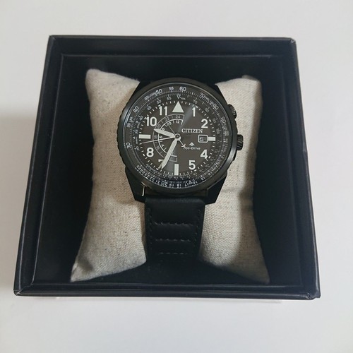 Citizen promaster nighthawk - promaster,