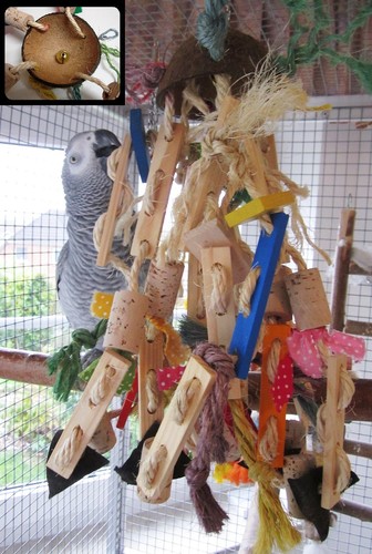 Papageienspielzeug nature - papageienspielzeug,