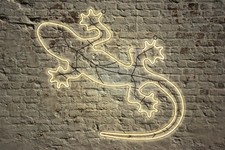 LED Figur Neon Gecko Metall Wanddeko beleuchtet Leuchte Außen Garten Deko IP44 