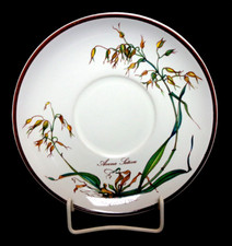 Unterteller Villeroy & Boch Botanica 16,8 cm  sehr guter Zustand