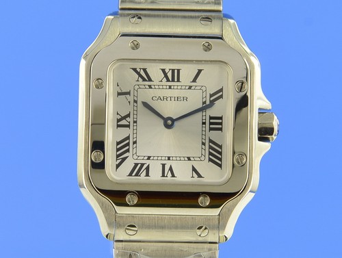 Cartier santos - santos,