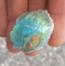 Klein aber Fein Poliert