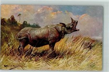39152056 - Rhinozeros sign