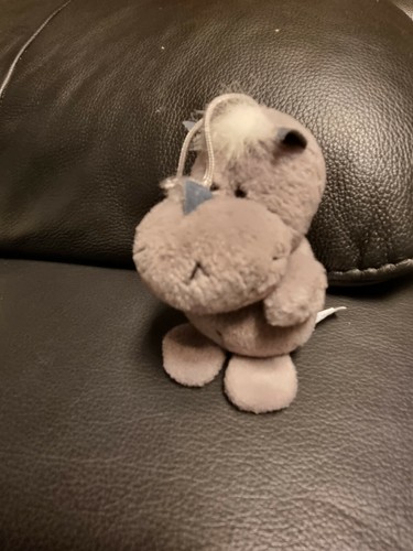 Nici nashorn nilpferd grau - nashorn,