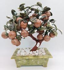 Jadebaum Apfelbaum mit weissen Kieseln