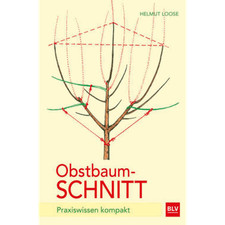 Obstbaumschnitt: Praxiswissen kompakt (BLV Bäume & Pflanzen) Helmut Loose