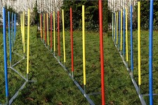 AGILITY - PROFI - SLALOM /