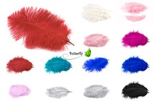 10 Stück Straußenfedern 15-20cm Vogelfedern Schmuckfedern Deko Federn Strauß 