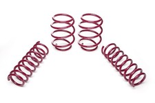 Vogtland Lowering Springs for