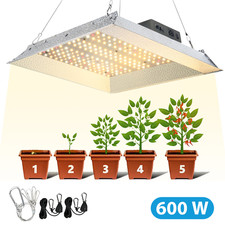 600W Pflanzenlampe